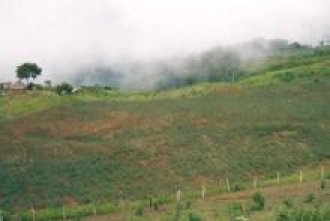 venta de 618 hectareas en el cuzco