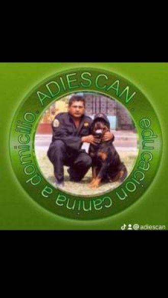 ADIESTRAMIENTO CANINO PROFESIONAL 