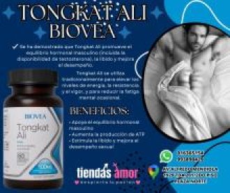 TONGKAT ALI BIOVEA MEJORA EL LIBIDO Y LA TESTOSTERONA SEXSUAL