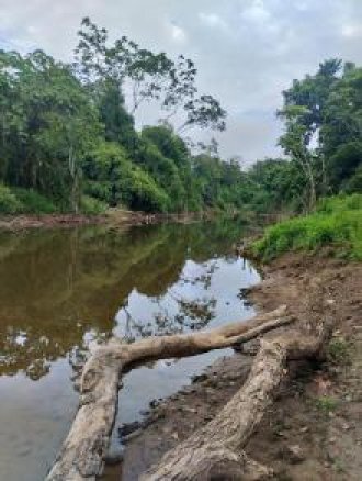 venta de terreno de 50 hectareas