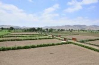 1050 m² – Vendo Terreno en Quilmana, Cañete (Ref. 661) -y-r