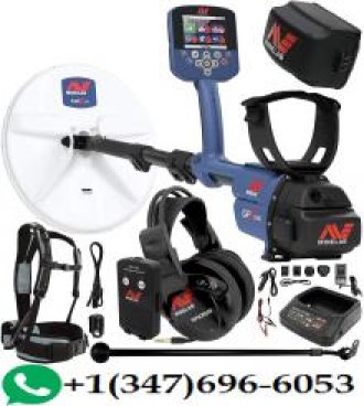 venta Gold Detector