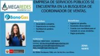 Se solicita Coordinador de Ventas 