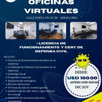 OFICINA VIRTUAL LICENCIA - PROMO VERANO
