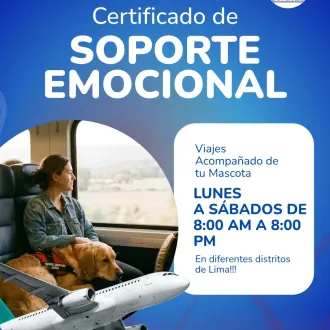 Certificado de Soporte Emocional