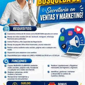 SECRETARIA EN VENTAS Y MARKETING
