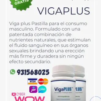 VIGA PLUS ANTI IMPOTENCIA CURA PERMANENTE A LARGO PLAZO L