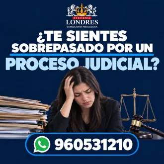Orientación en procesos judiciales