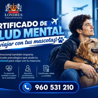  Viaja con tu mascota de manera segura y tranquila 