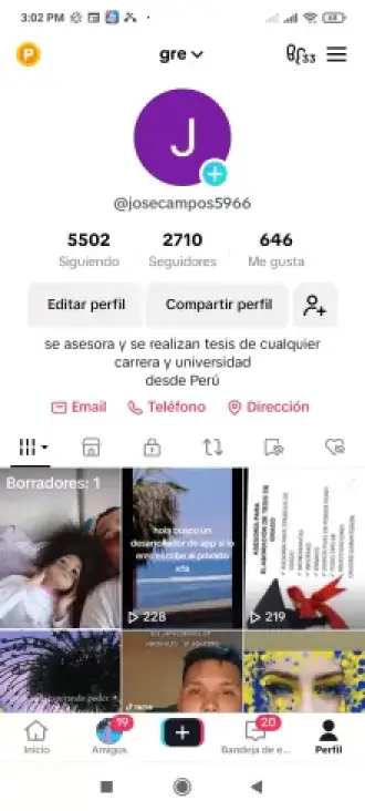 Realización y asesoría de tesis 