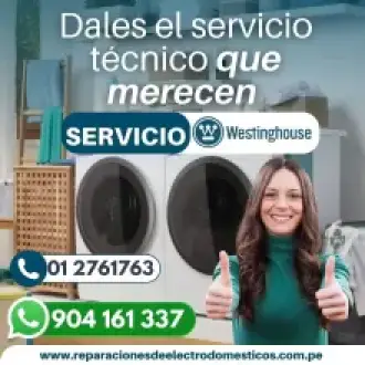 Efectivos tecnicos lavadoras westinghouse 904161337