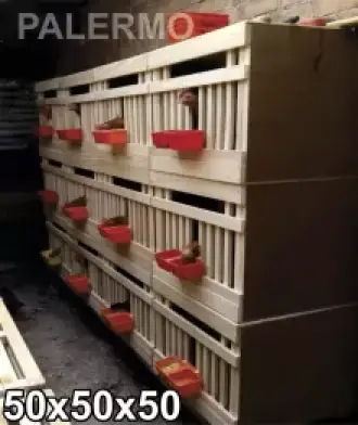 jaulas para gallinas en lima