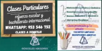 Matemática y ciencias enseñanza dirigida a escolares clases amenas y con buena didáctica presencial virtual