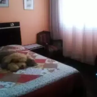 Alquilo Habitación amobladas con baño propio en La Molina para señoritas estudiantes 