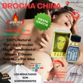 BROCHA CHINA Retardante De La Eyaculación Precoz 100 Natural