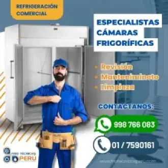 SOLUCIONES ESPECIALIZADAS EN CÁMARAS FRIGORÍFICAS 998766083