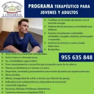 Programa Terapéutico para Jóvenes y Adultos