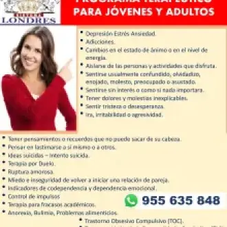 Programa Terapeutico para Jovenes y Adultos