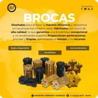 BROCAS ROBUSTAS