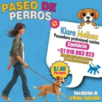 Paseadora de Perros