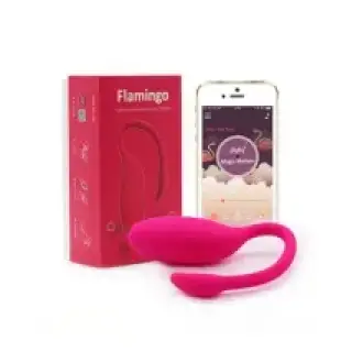 Flamingo Control APP