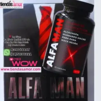 DESARROLLADOR ALFAMAN