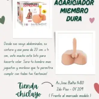  A-ACARICIADOR MIEMBRO DURA