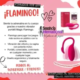 CUMPLE TUS FANTASIAS CON ESTE VIBRADOR SOFISTICADO FLAMINGO 