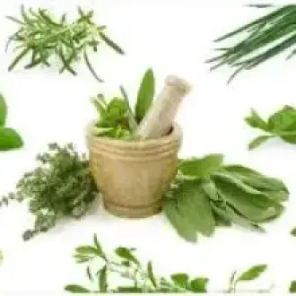 MEDICO NATURISTA HOMEÓPATA