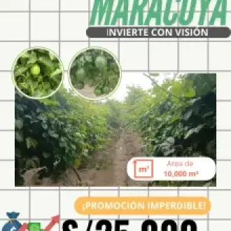 Proyecto Agroindustrias 