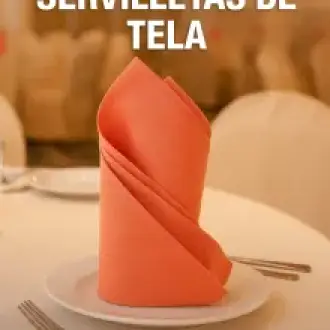 Alquiler de Servilletas de Tela para Eventos