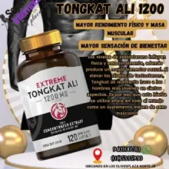 capacidad de sus componentes aumenta de tamaño los cuerpos c