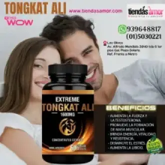 TONGKAT ALI producción de testosterona y el buen rendimiento