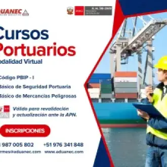 Cursos Portuarios PBIP Seguridad Port. Mercancías Pelig.