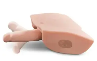 A- ACARICIADOR CONSOLADOR PDX INTERACTIVO PARA EL