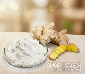 Almidón de jengibre 100 natural