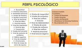 PERFIL PSICOLÓGICO