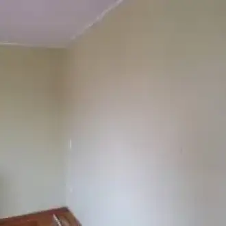 Leonidas Maestro pintor