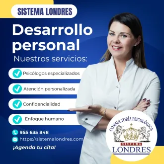 SISTEMA LONDRES NUESTROS SERVICIOS