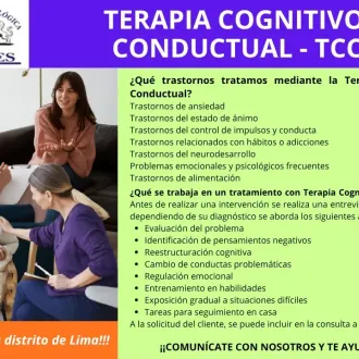 Terapia Cognitivo Conductual 