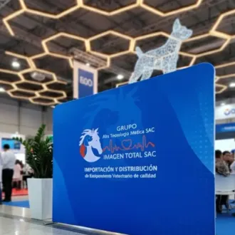 Backing de tensión con base pesada para eventos y exteriores