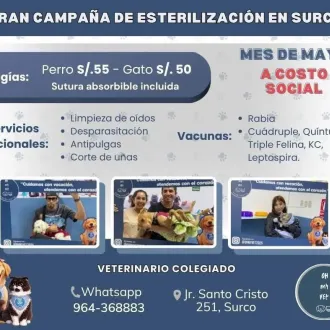 JORNADA DE ESTERILIZACION