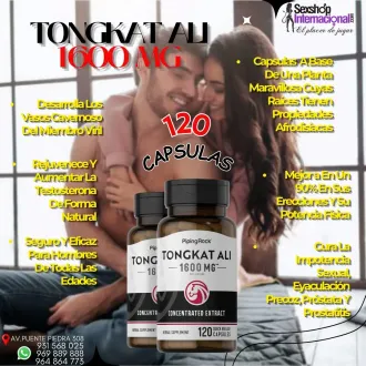 TONGKAT ALI REFUERZA TUS NIVELES DE TESTOSTERONA EN HALLOWEE