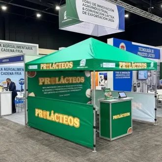 Toldo Publicitario Pirámide con Cerco y Fondo para Eventos