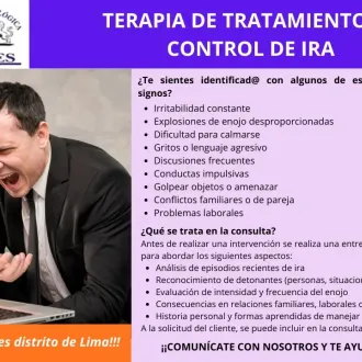 TERAPIA DE CONTROL DE LA IRA - SISTEMA LONDRES