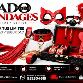 KIT BDSM DE LUJO VIENE EN MALETIN - EN SEX SHOP LINCE