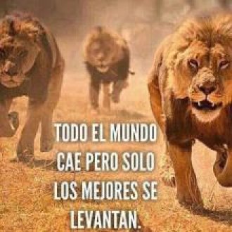 almacenamiento de web gratis