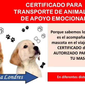 CERTIFICADO PARA TRANSPORTE DE ANIMALES DE APOYO EMOCIONAL