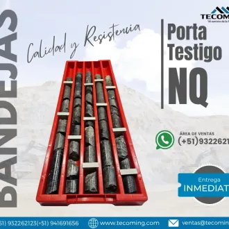 BANDEJAS NQ RESISTENCIA Y ORGANIZACIÓN DE TESTIGOS