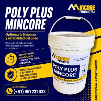 POLY PLUS MINCORE Exploración Diamantina Perforación En mina